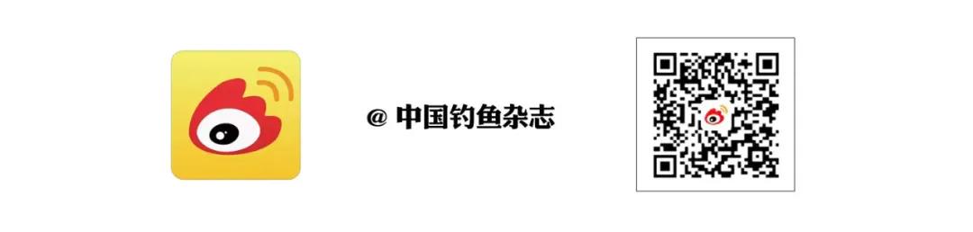 协会动态｜山东省钓鱼协会换届迈新程  -图11