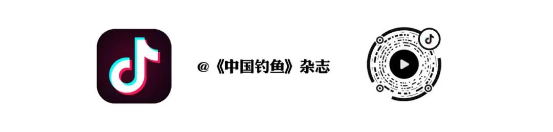 协会动态｜山东省钓鱼协会换届迈新程  -图13