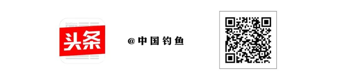 协会动态｜山东省钓鱼协会换届迈新程  -图12