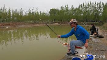 同行私人黑坑钓鲤配方，附用饵思路，轻松应对各种渔情  -图1