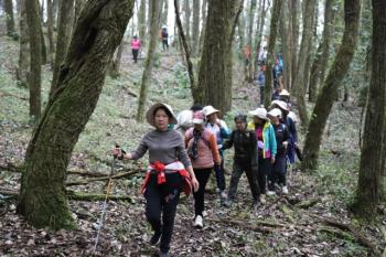 美好生活在云南｜500余名徒步爱好者探寻哀牢山古道之美  -图7